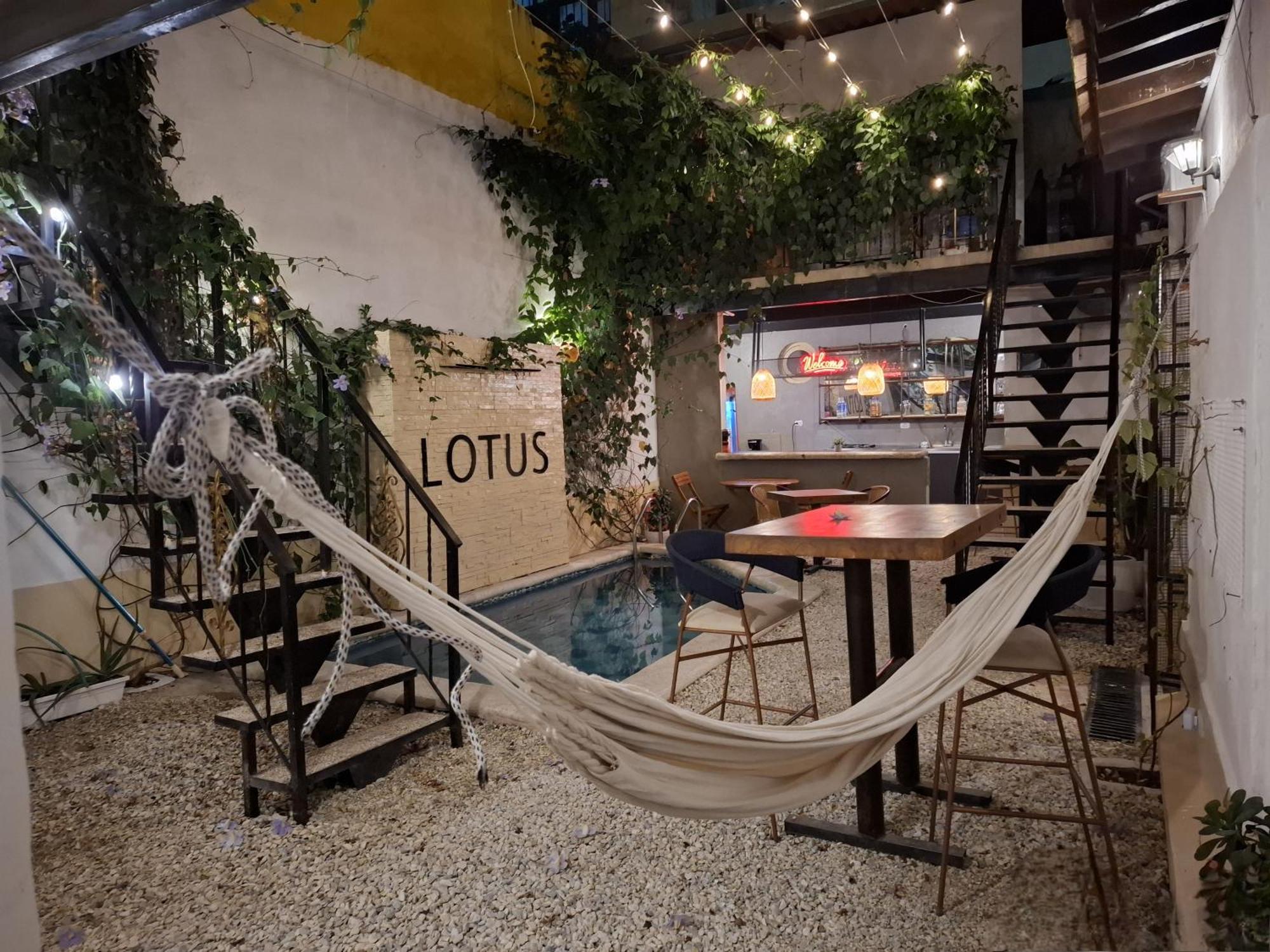 Lotus Central Hotel - Santa Marta (Magdalena) — Photos 1